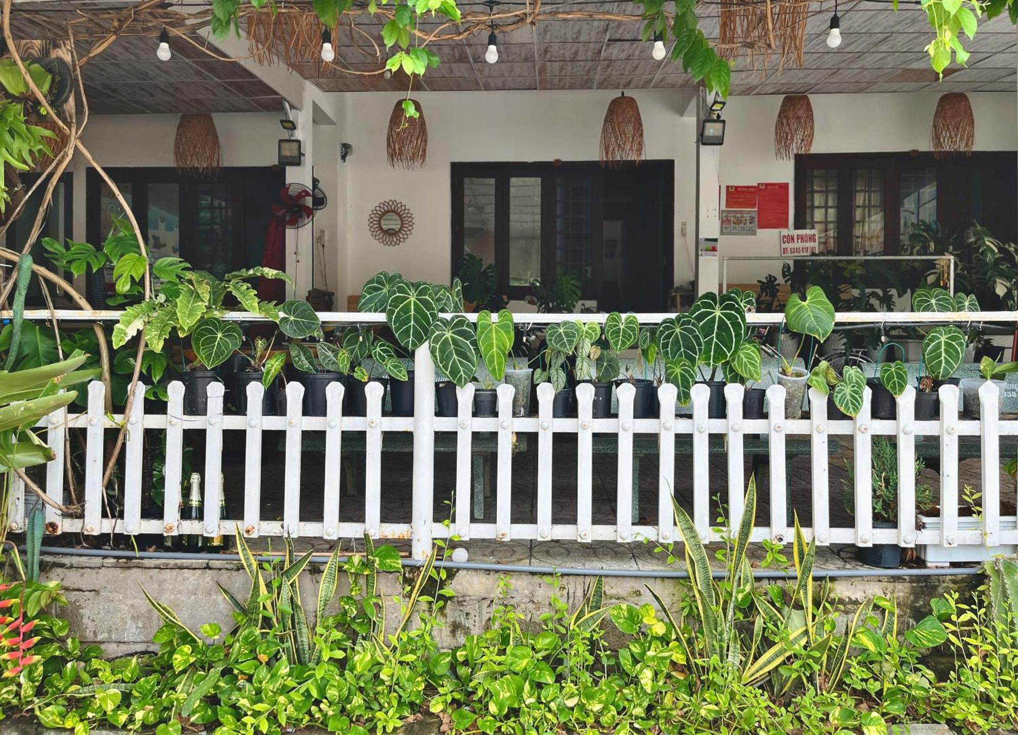 N'T Homestay Mũi Né Exterior foto